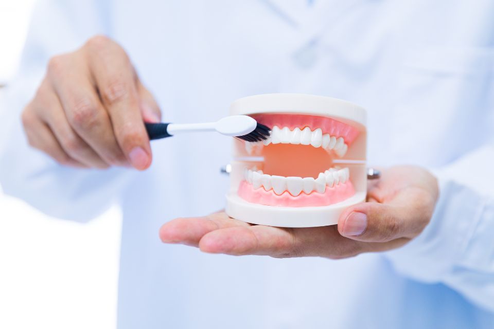 植牙牙齦萎縮怎麼辦？如何補救？牙齦萎縮可以植牙嗎？
